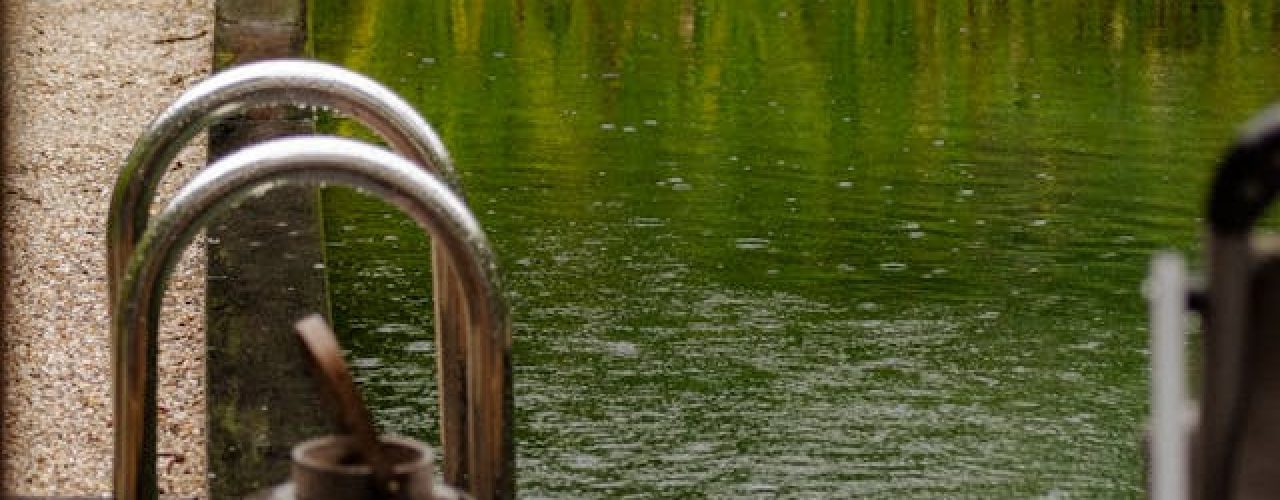 ecologische zwemvijver